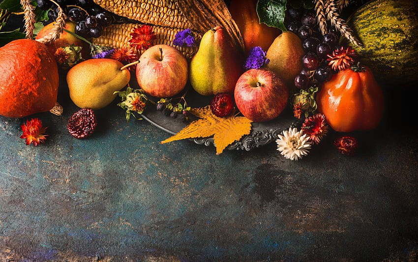 Wonderful Autumn with delicious fruits, autumn fruits HD wallpaper | Pxfuel