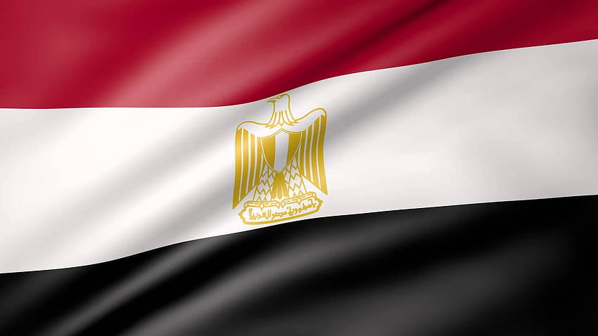 Egypt Flag para Android, egyptian flag HD wallpaper