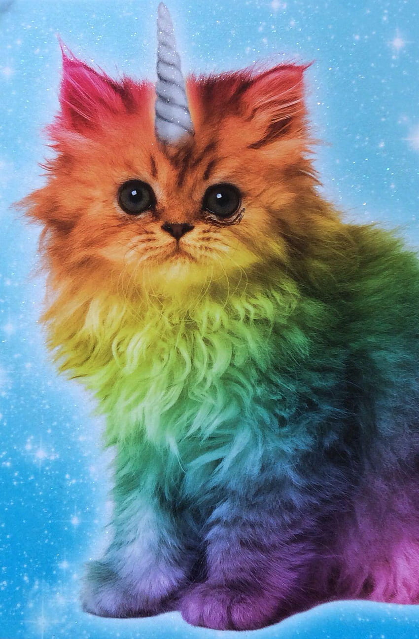 魔法のユニコーン虹の子猫、 HD電話の壁紙
