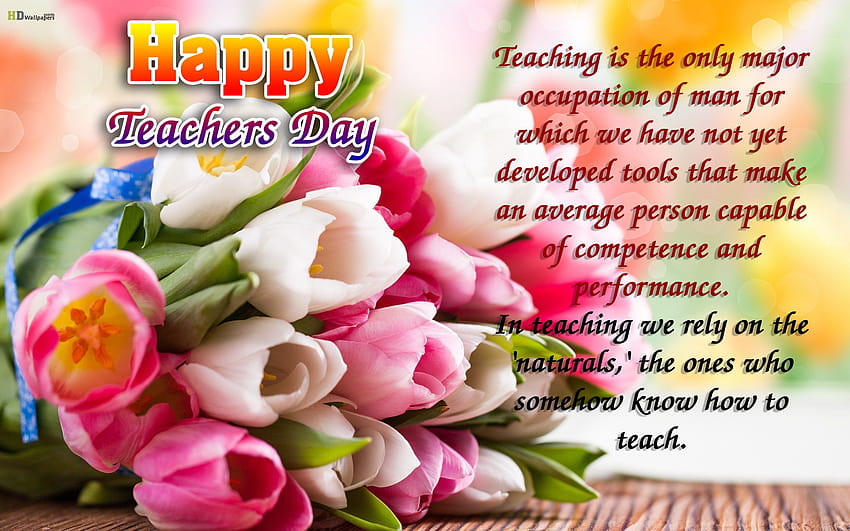 World Teachers Day posted by Sarah Johnson HD wallpaper