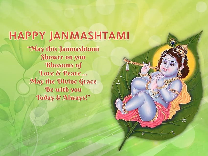 Happy Janmashtami May This Janmashtami Shower On You, sri krishna  janmashtami HD wallpaper | Pxfuel