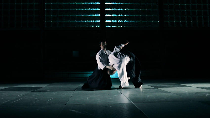 .wiki, aikido HD wallpaper