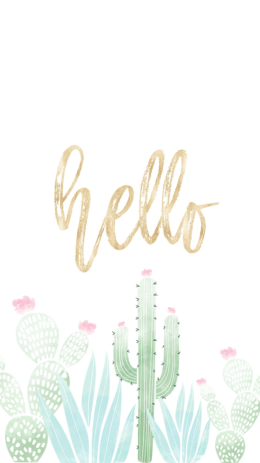 Cute Cactus posted by Ryan Johnson, cute aesthetic cactus HD phone wallpaper