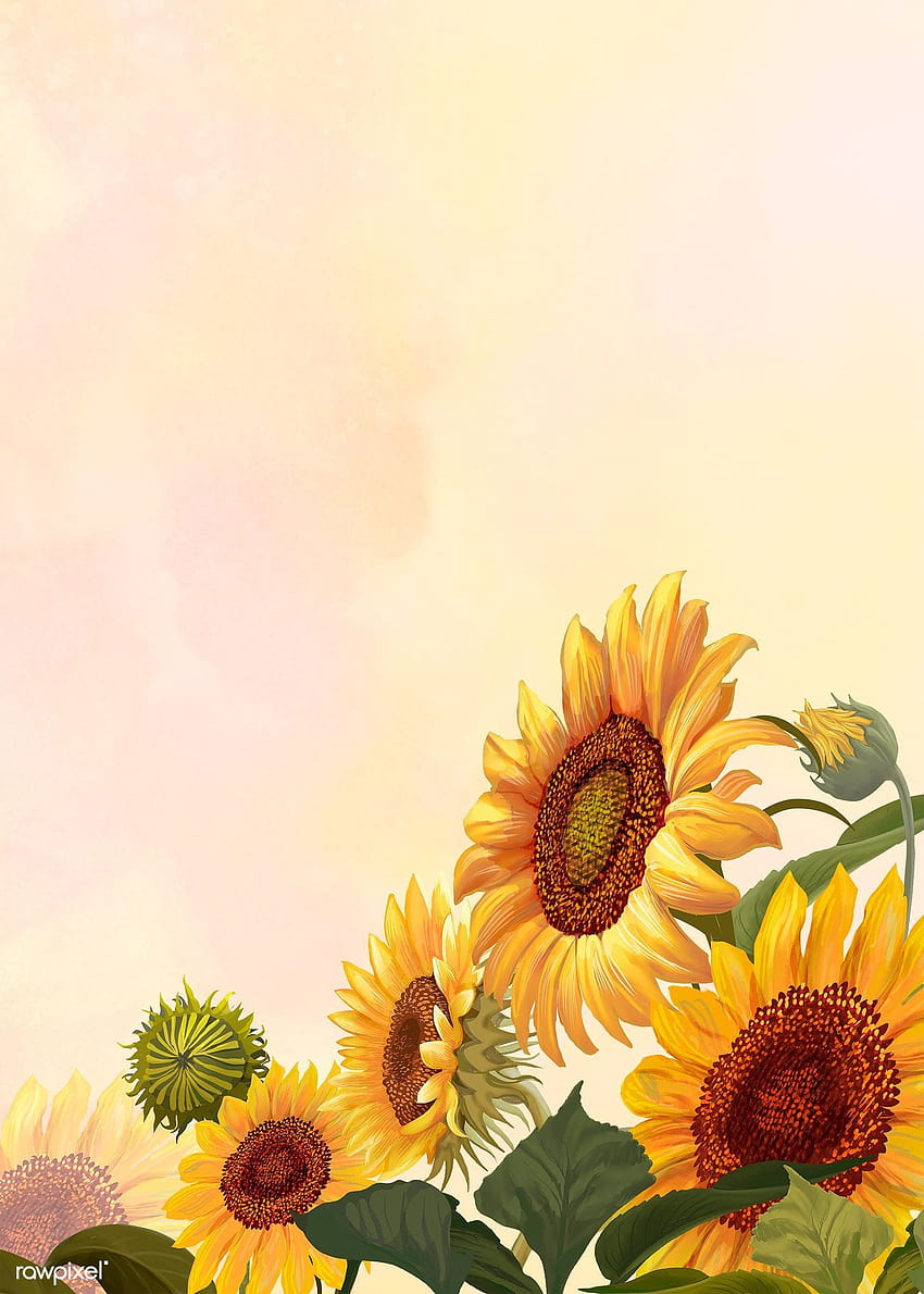 Sunflower Drawing 2020, sunflower art HD phone wallpaper