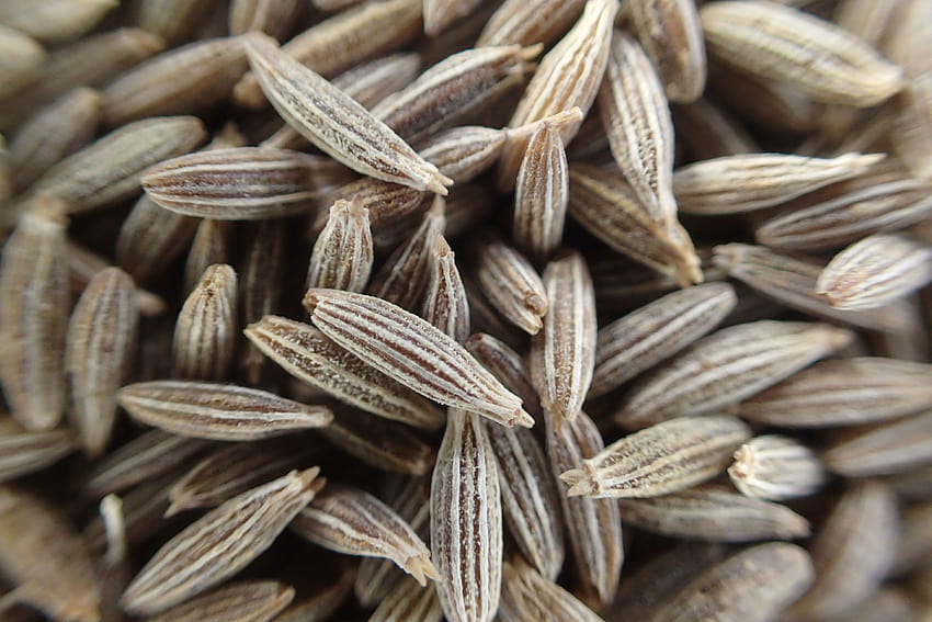 stock of cumin, cumin seeds, seeds, black seed HD wallpaper