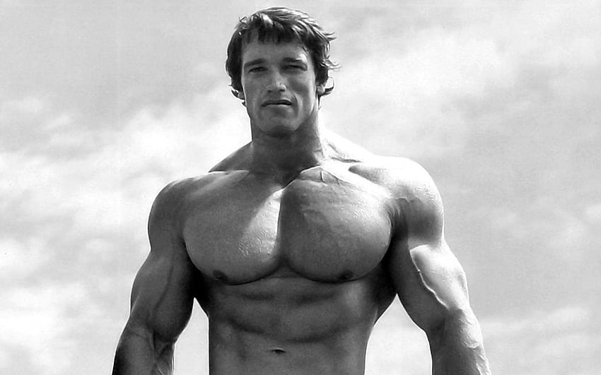 143 Arnold Schwarzenegger, bodybuilding HD wallpaper