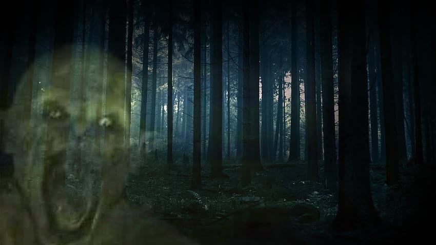 Creepy Forest Backgrounds Group, horror forest HD wallpaper | Pxfuel