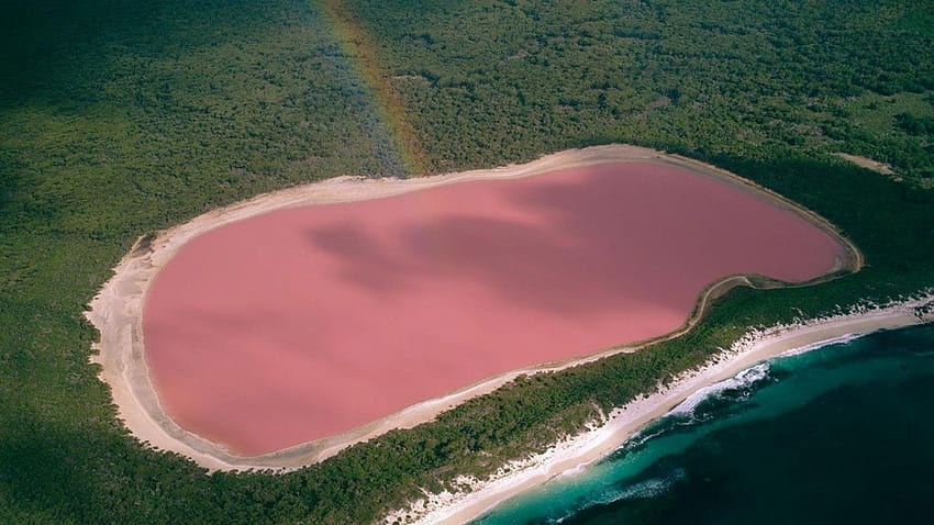 Pink Lake Hillier Australia HD wallpaper