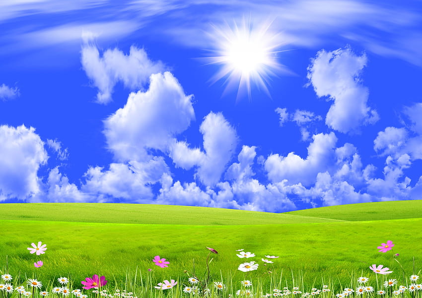 Beautiful spring. fresh,grass,sun,skies,cloud, cloud spring HD wallpaper