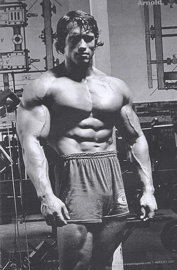 Arnold Schwarzenegger Bodybuilding . Backgrounds, Arnold Bodybuilder 