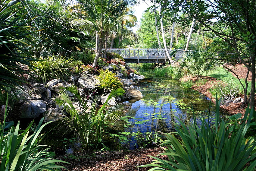 САЩ Мисури Ботаническа градина Nature Bridges Gardens 3000x2000 HD тапет