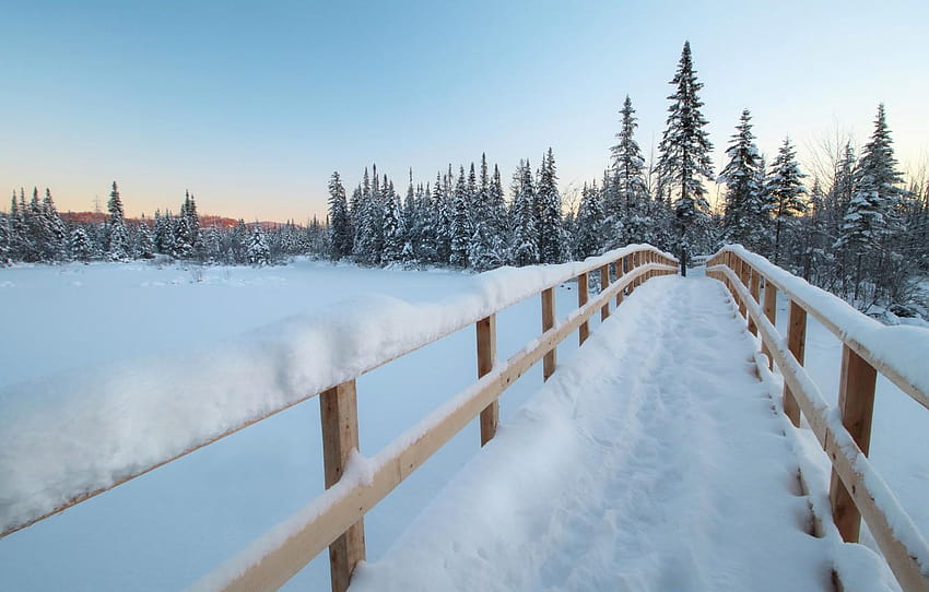 winter, forest, snow, bridge, ate, Canada, Canada, quebec winter HD wallpaper
