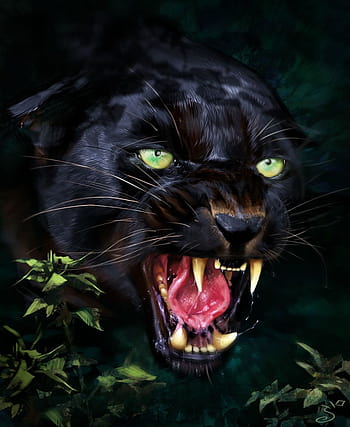 Download A fierce black jaguar stalks her prey Wallpaper  Wallpaperscom