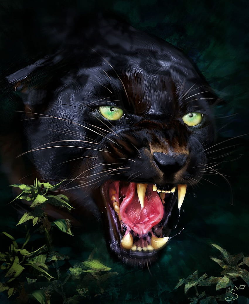 Black Jaguar Animal, black jaguar phone HD phone wallpaper