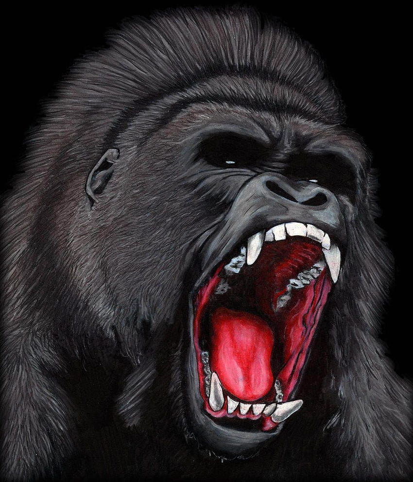 Małpa goryl srebrnogrzbiety, małpa ...recenzja internetowa, wściekły goryl Tapeta na telefon HD