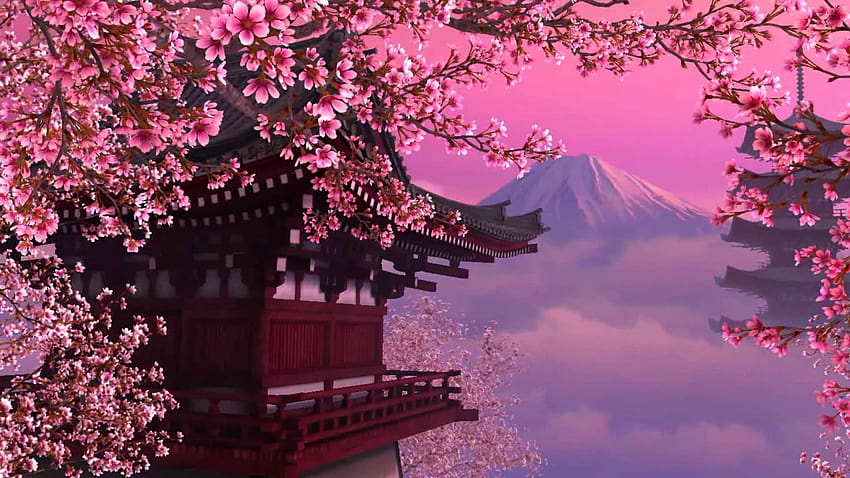 15397 Japanische Kirschblüten HD-Hintergrundbild