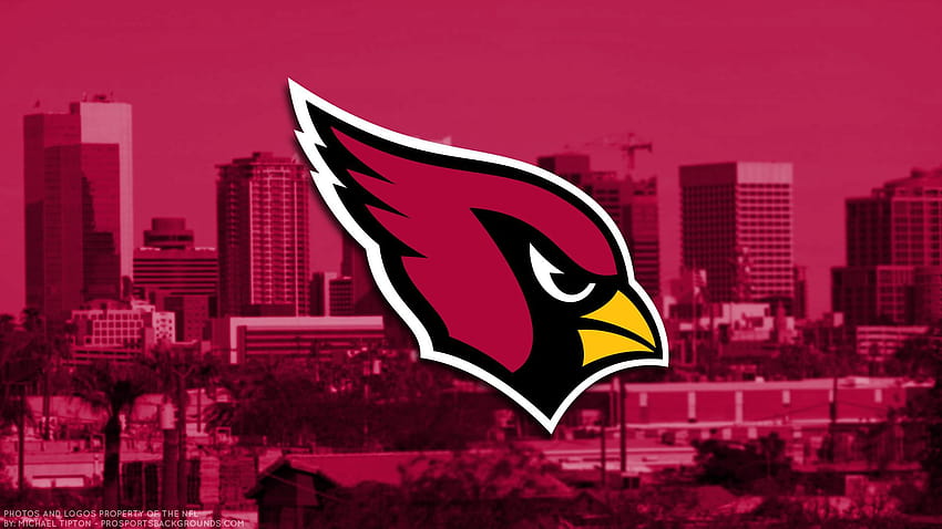 Arizona cardinals computer HD wallpaper