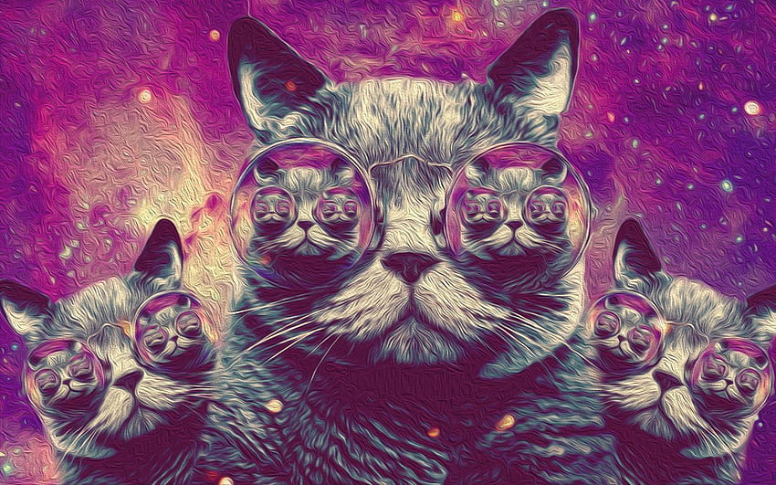 Hipster Galaxy Cat on Dog, gato collage fondo de pantalla