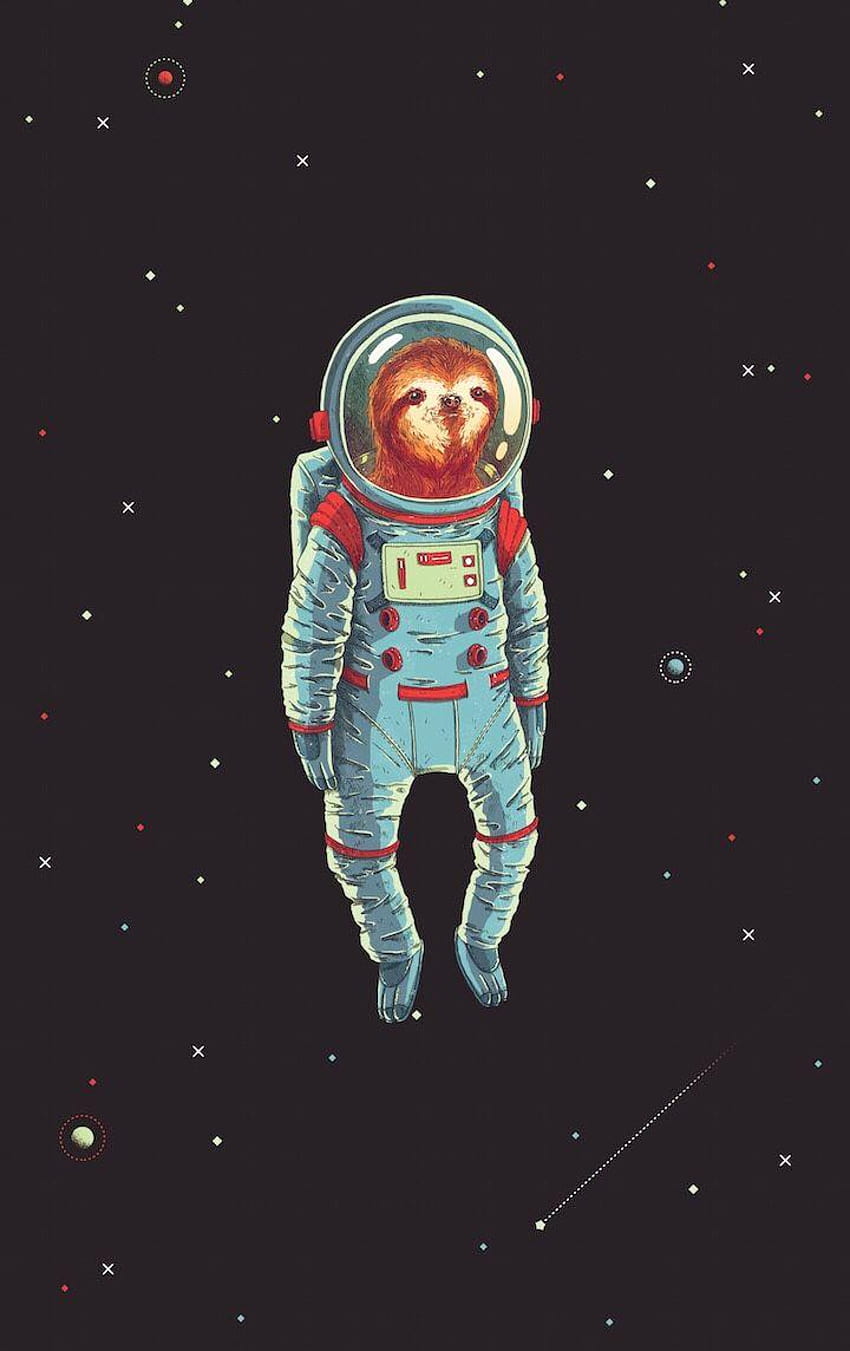 Sloths in Space :, sloth in space HD phone wallpaper