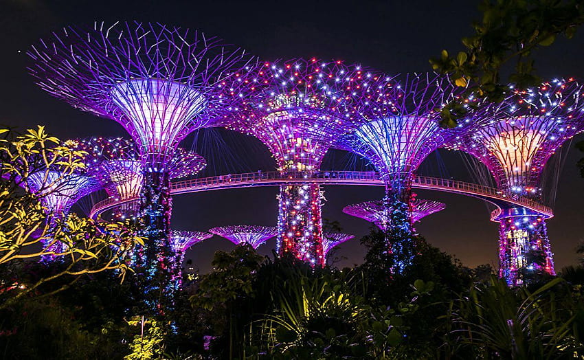 Singapore Gardens by the Bay Nature Parks Night Fairy, luzes de fada papel de parede HD