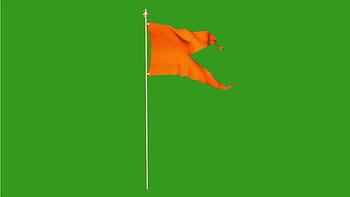 2983 Hindu Flag Stock Photos HighRes Pictures and Images  Getty Images