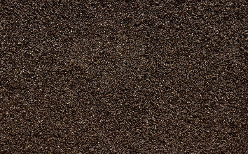 1 Soil, ground HD wallpaper