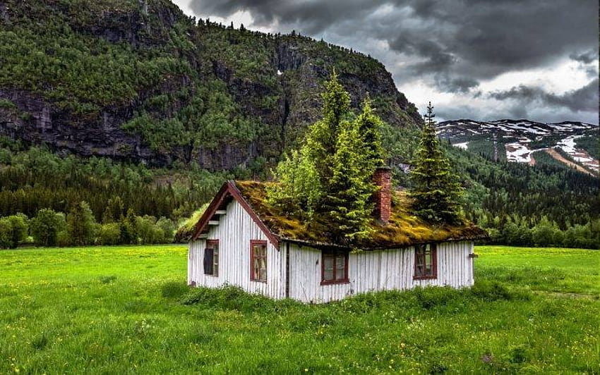 пейзаж, природа, лято, изоставени, Норвегия, трева, облаци, планина, къща, дървета, зелени / и мобилни фонове, планинска къща HD тапет