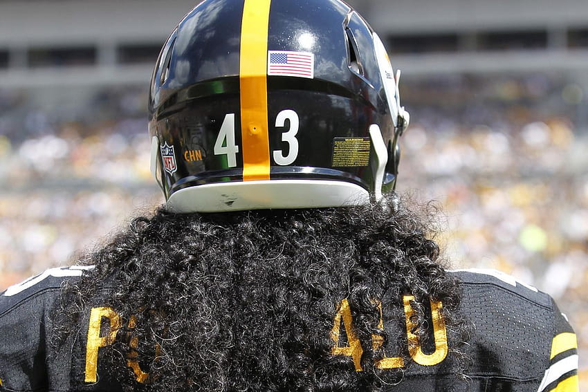 Pittsburgh Steelers Player Troy Polamalu Papel de parede foto compartilhado  por Amabel  Português de partilha de imagens imagens