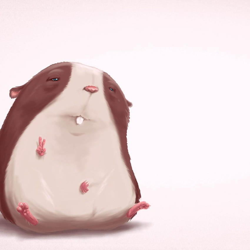 Funny Hamster iPad HaHa Hamster, anime hamster HD phone wallpaper
