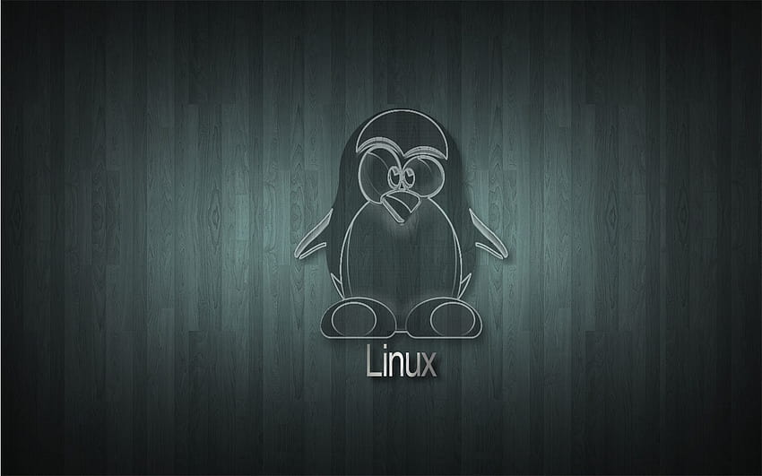 Linux Ortamları Üretkenliği Optimize Eder, linux logosu HD duvar kağıdı