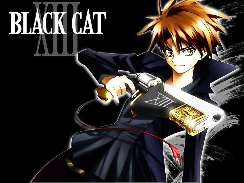 Black cat  Train Heartnet  Anime Amino