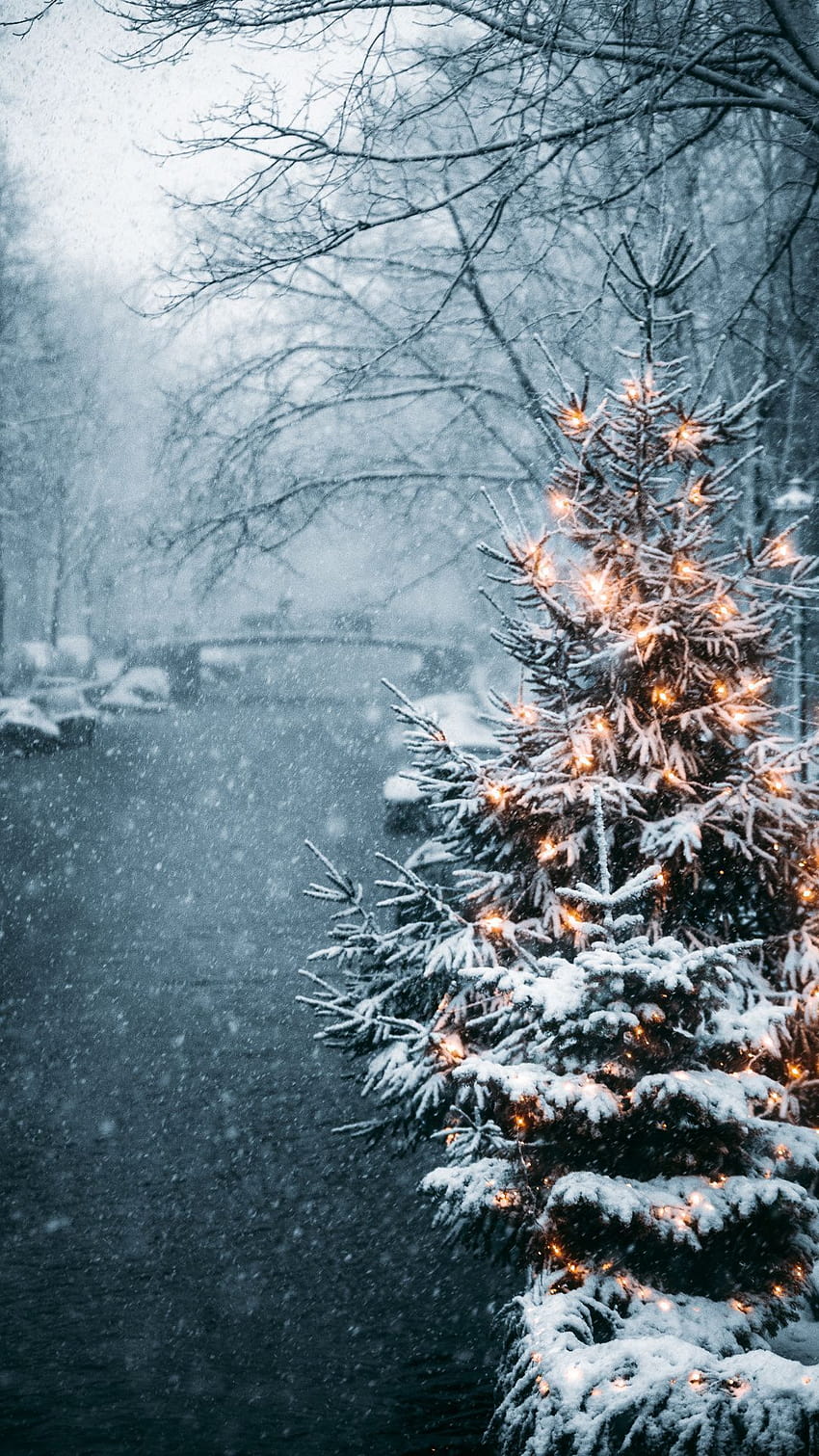 Winter Night Photos, Download The BEST Free Winter Night Stock Photos & HD  Images