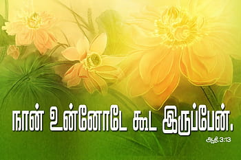 Tamil Bible Words Gallery Modern HD wallpaper | Pxfuel