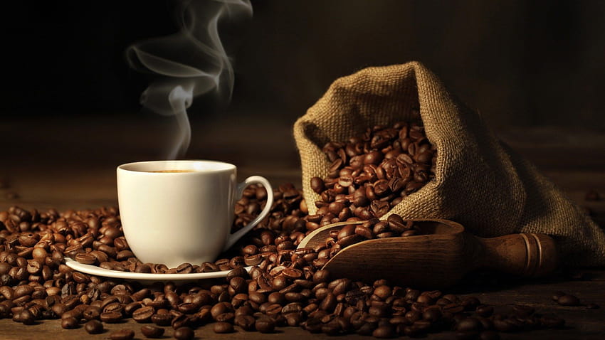 all you need is coffee HD wallpaper