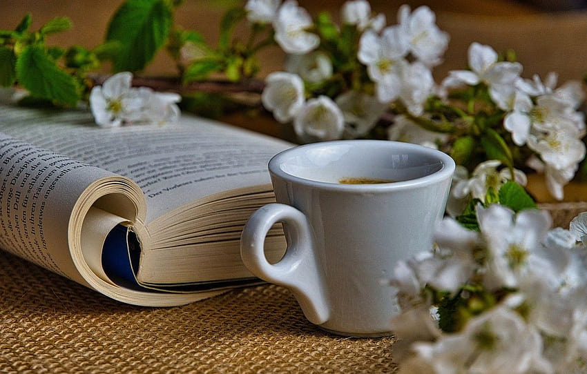 suasana hati, kopi, cabang, Cangkir, buku, bagian настроения, buku musim semi Wallpaper HD
