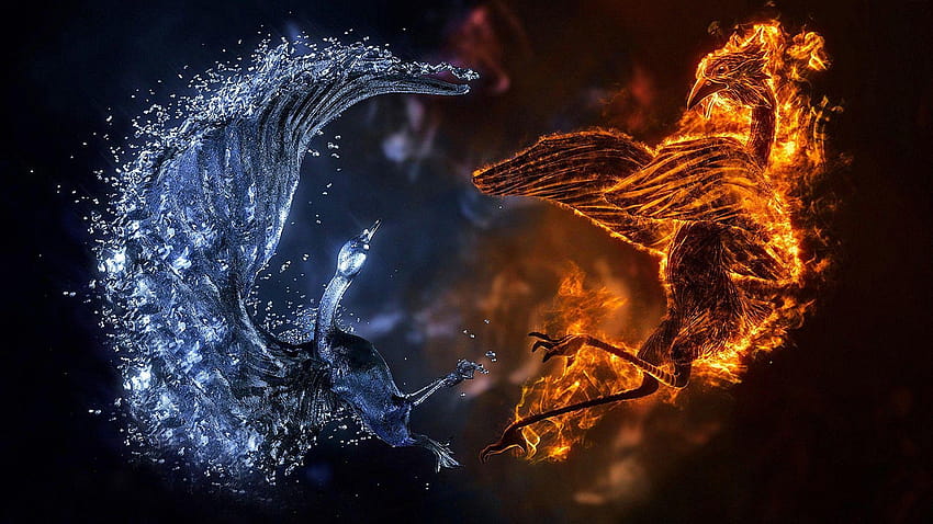 Awesome 3D Fire Ice Bird, awesome ice HD wallpaper