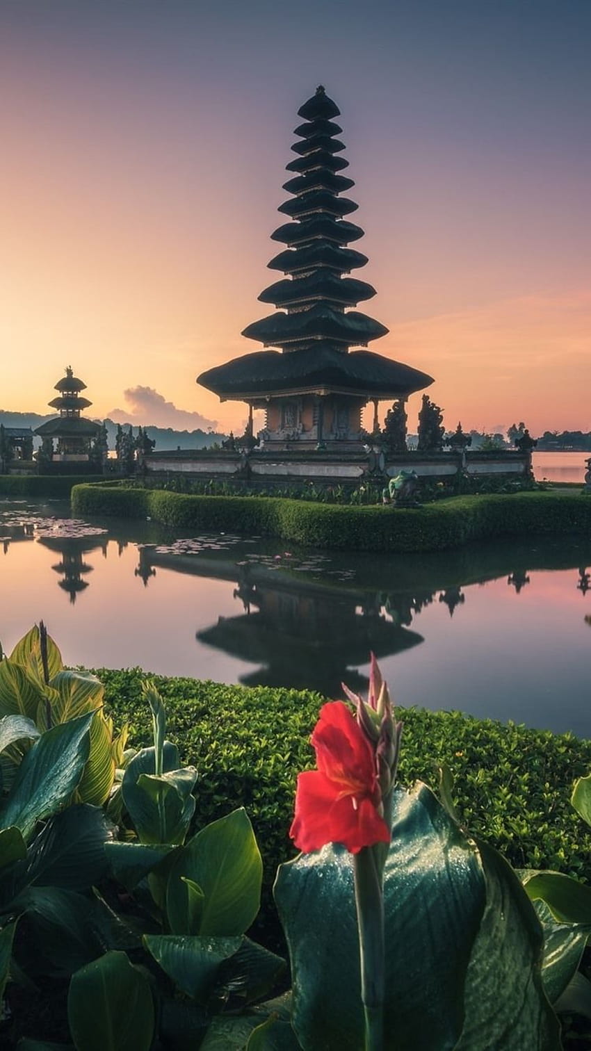 Bali, tempio, lago, fiori, Indonesia 750x1334 iPhone 8/7/6/6S , , bali indonesia Sfondo del telefono HD