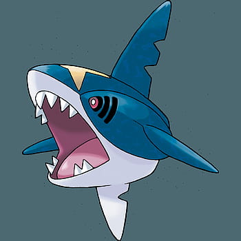 Sharpedo 48267 px HD wallpaper | Pxfuel