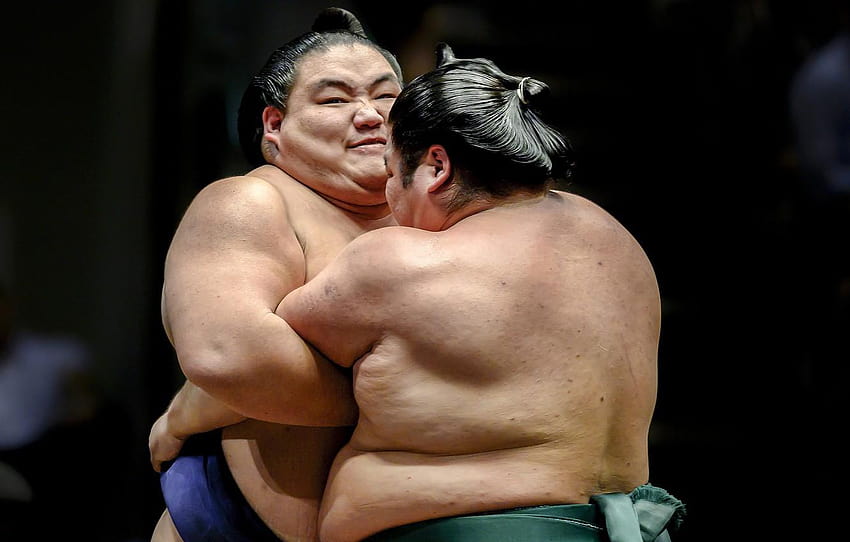 sport, fight, sumo , section, sumo wrestlers HD wallpaper