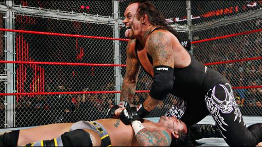 The Undertaker Vs Cm Punk Hell In A Cell 2009 highlights HD wallpaper