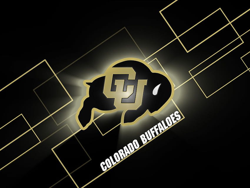 University of Colorado, colorado buffaloes HD wallpaper