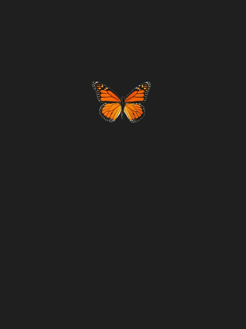 desktop wallpaper evelyn vsco orange butterflies