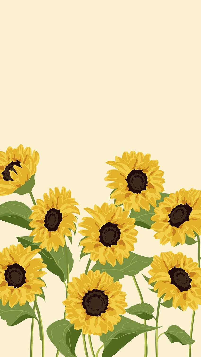 Sonnenblumen-iPhone, ästhetischer Frühling, Sonnenblumen-Cartoon HD-Handy-Hintergrundbild