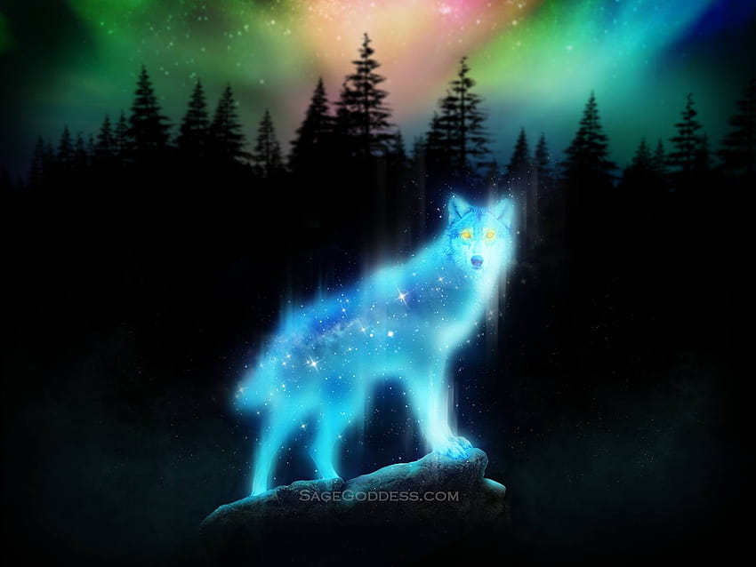 Custom Sage Goddess able Wolf Spirit Animal, ghost wolf HD wallpaper