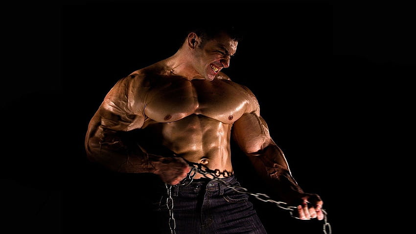 pics best body building workout motivation muscles, aesthetic bodybuilder HD wallpaper