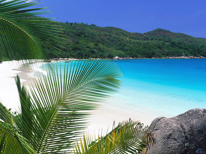 Anse Lazio, Praslin, Seychelles. Another place I will definitely get to! HD wallpaper