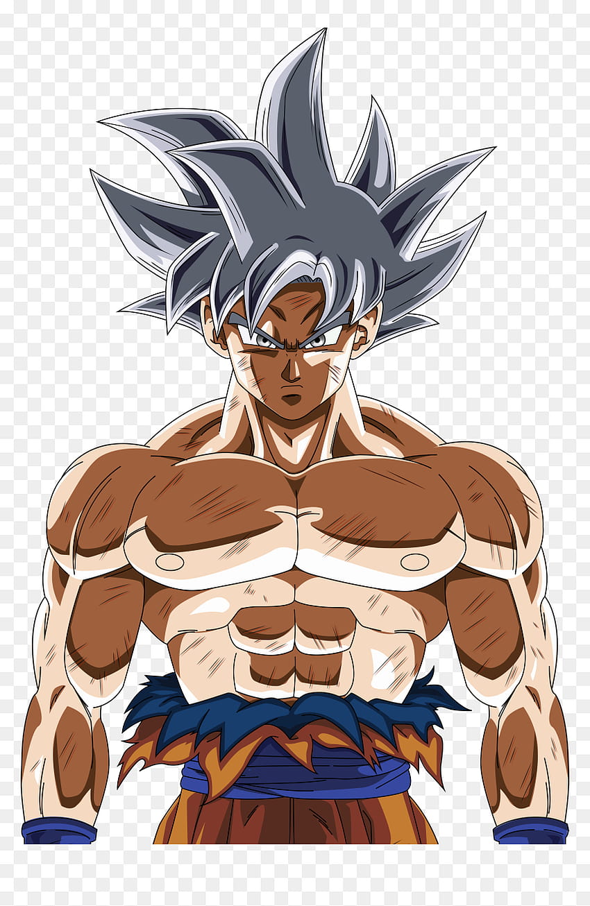 Dbs Goku Super Saiyan Blue, HD Png Download - vhv