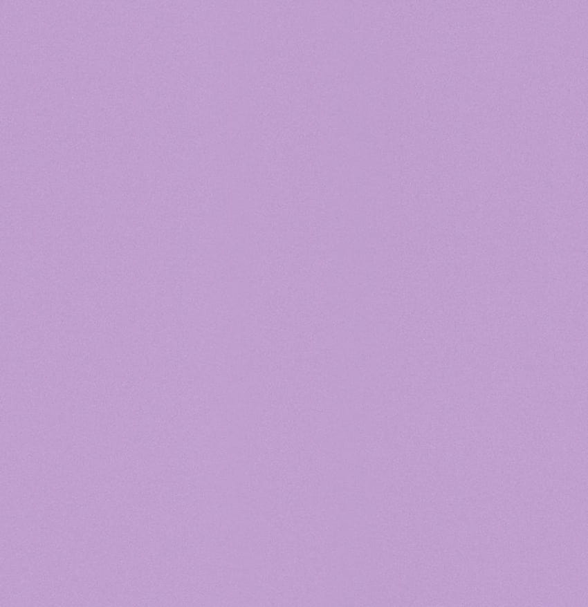 Einfaches Lila, einfarbiges Lila HD-Handy-Hintergrundbild
