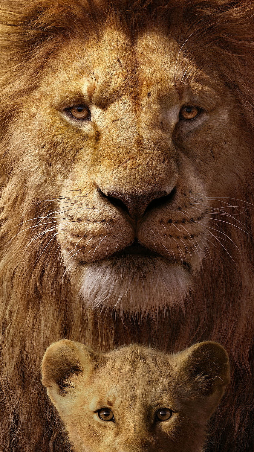 Mufasa & Simba The Lion King Ultra Mobile'da, aslan kral telefon HD telefon duvar kağıdı
