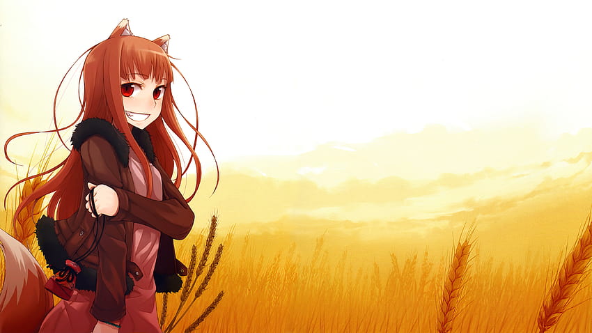I made after watching Spice & Wolf, then reading it, anime wolf girl HD wallpaper
